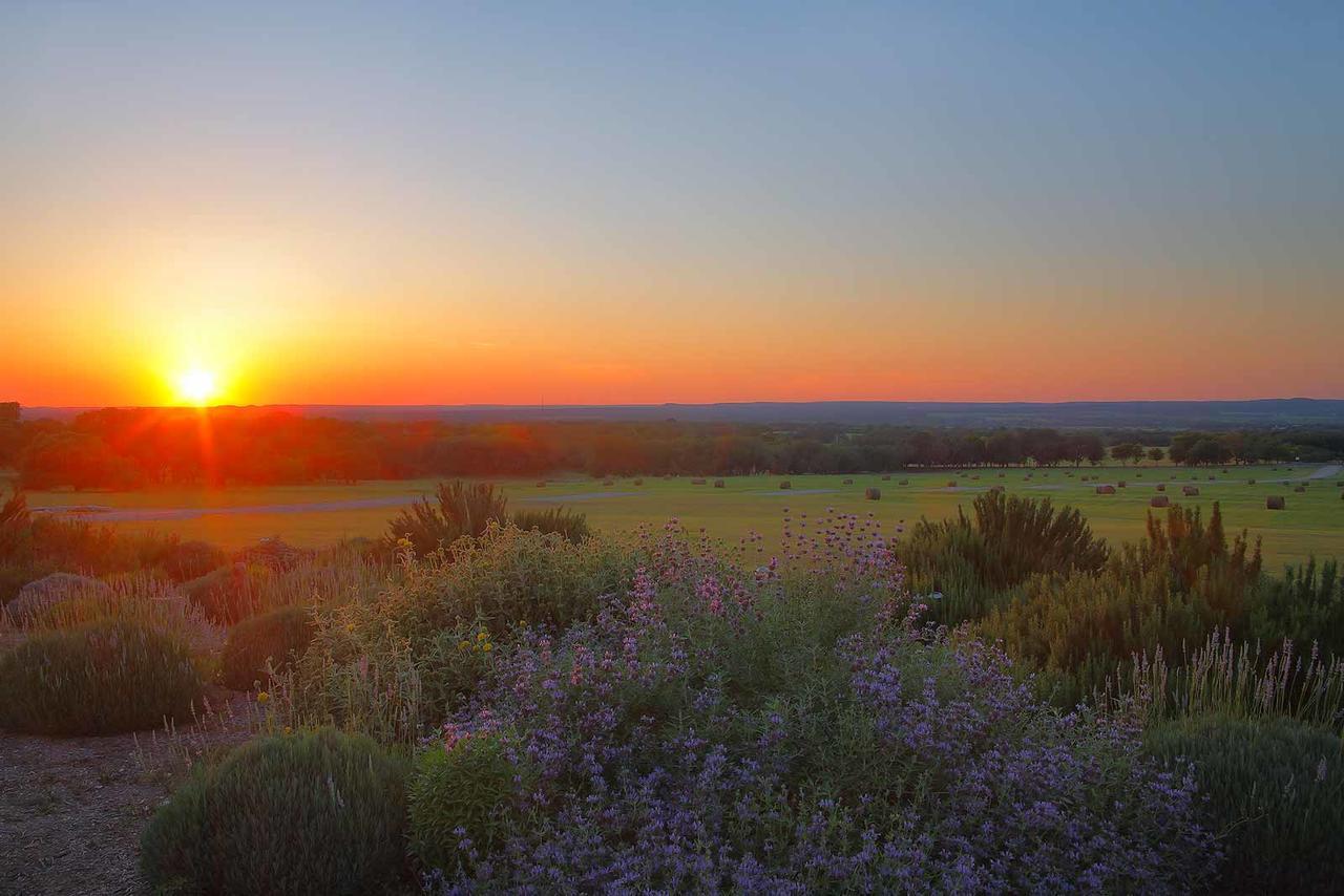 Stonewall Rose Hill Retreat Aaa Four Diamond Inn מראה חיצוני תמונה